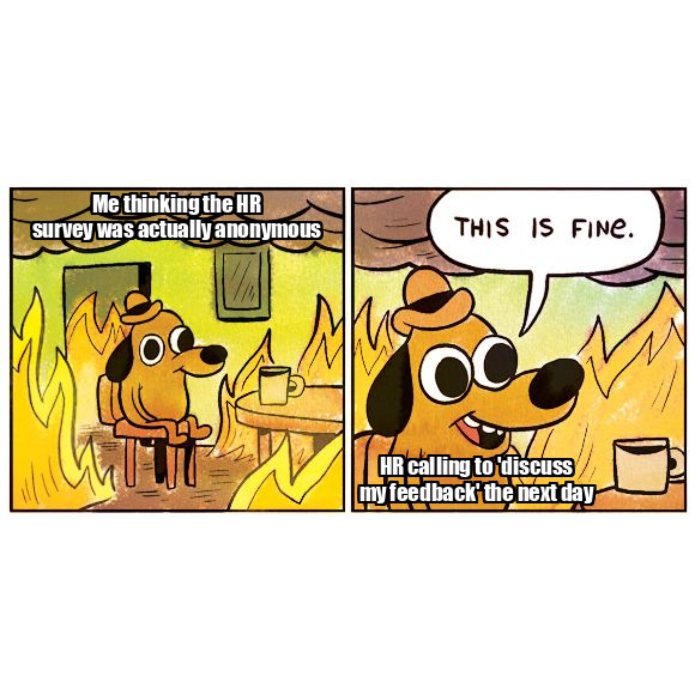 When HR makes an anonymous survey and then calls you