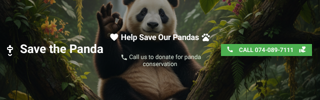 Large Mobile Banner Example