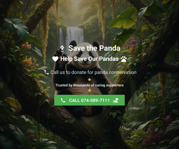 Medium Rectangle Banner Example