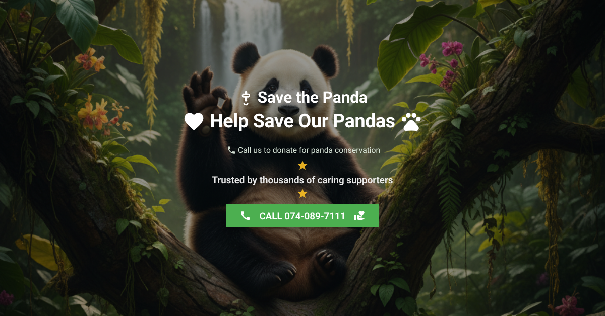 Social Media Banner Example